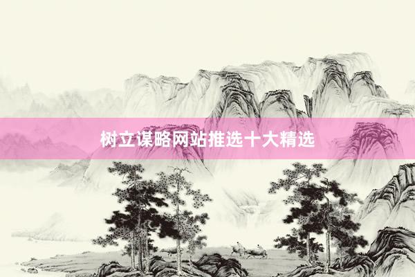 树立谋略网站推选十大精选